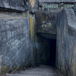 Marcus Gibbon - DOOMSCRAWLING