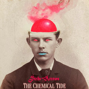 The Chemical Tide cover
