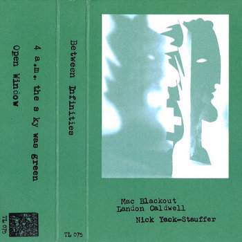 レコード MAC BLACKOUT 限定LP lo fi シンセパンク パンク天国