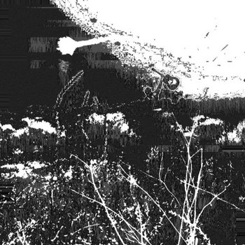 tell me things are well, i won't believe you !!