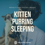 Free Cat Purring Sound Effects