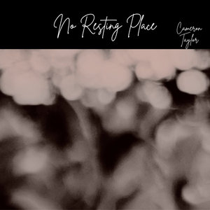 No Resting Place cover