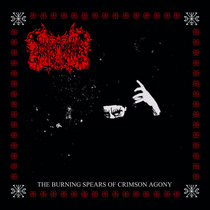 DARKWOODS MY BETROTHED - Heirs of the 〜 Darkwoods My Betrothed – Heirs Of The Northstar – CD (White