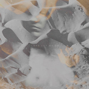 Love Let Me Go (2016) cover