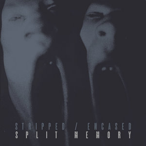 Stripped / EncasedSplit Memory cover
