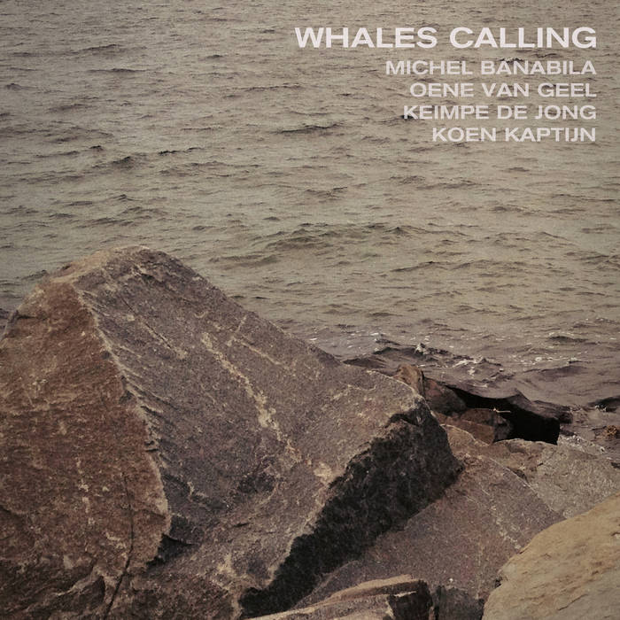 Whales Calling cover art