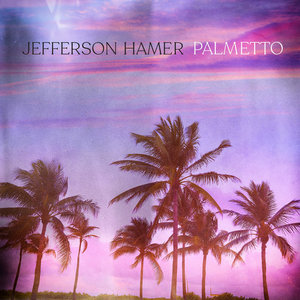 Palmetto cover