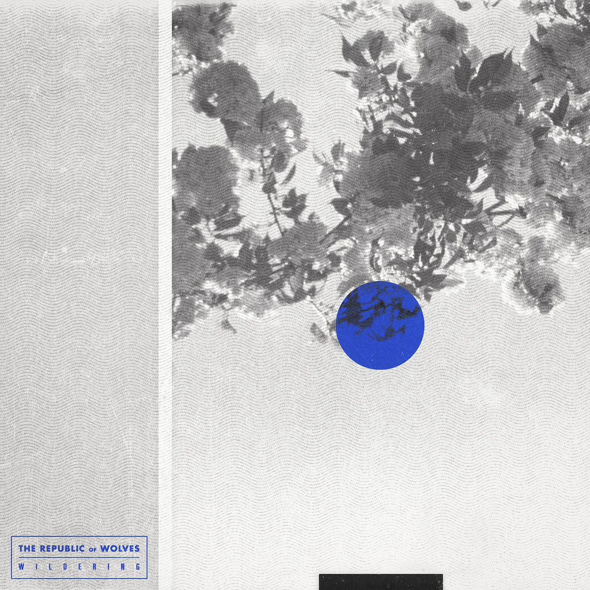 Covers (Vol. 2) | The Republic Of Wolves