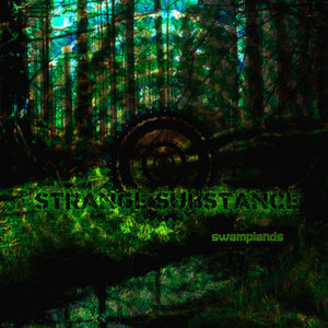 Swamplands cover