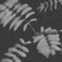 Janus Rasmussen — Doom - pølaroit Rework