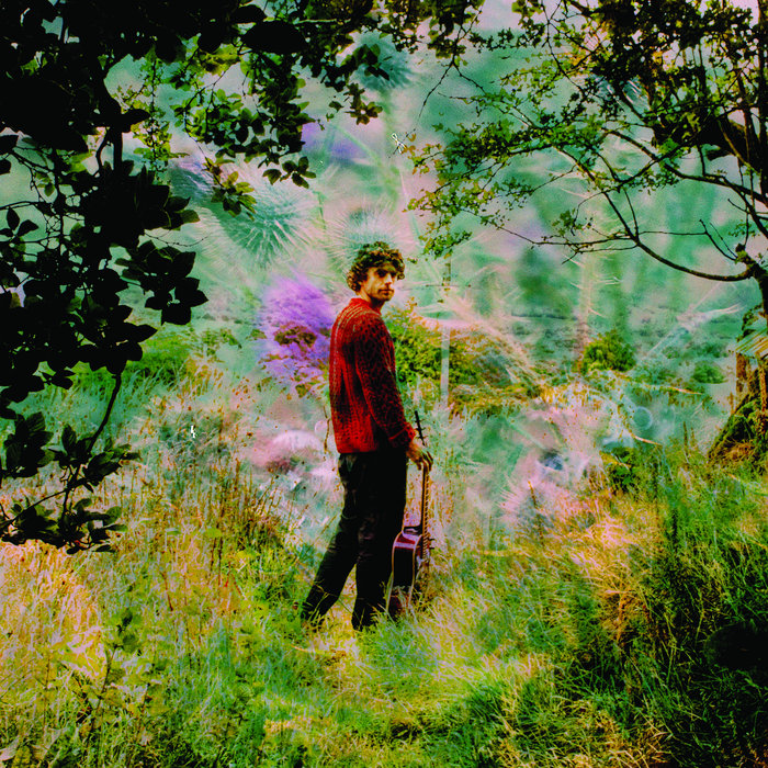 Dig It Up | Louis Cormack