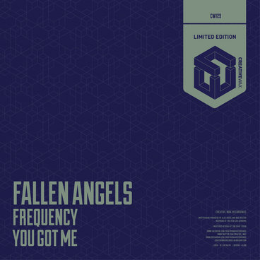 Fallen Angels - Frequency / You Got Me main photo