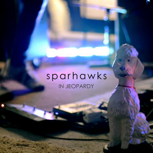 In Jeopardy (Single) cover