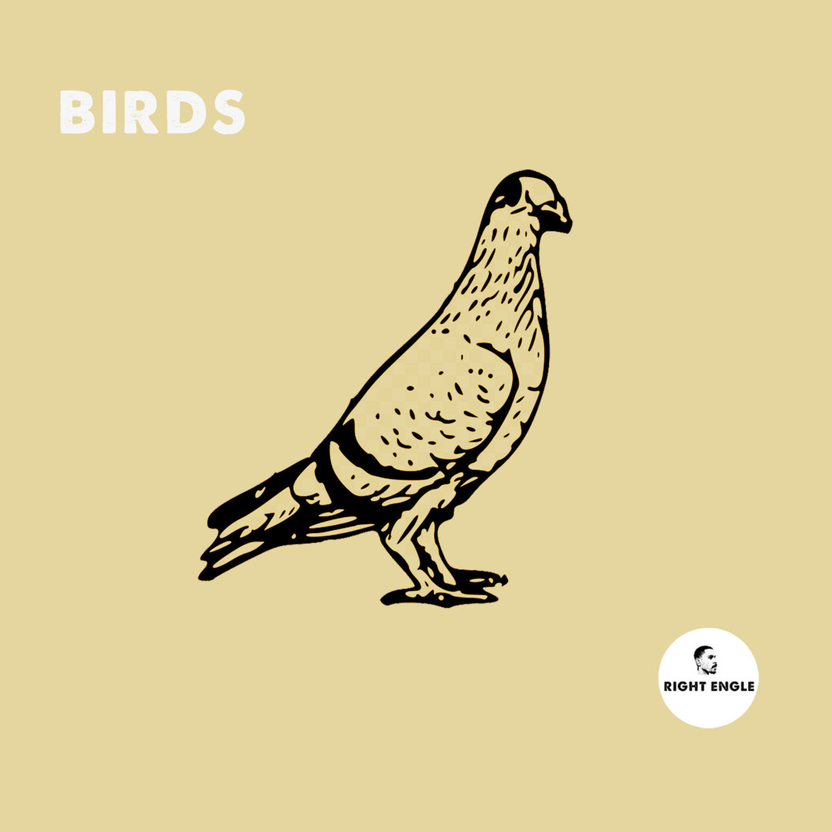 Birds Right Engle