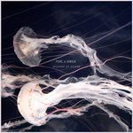 Oceans of Sound