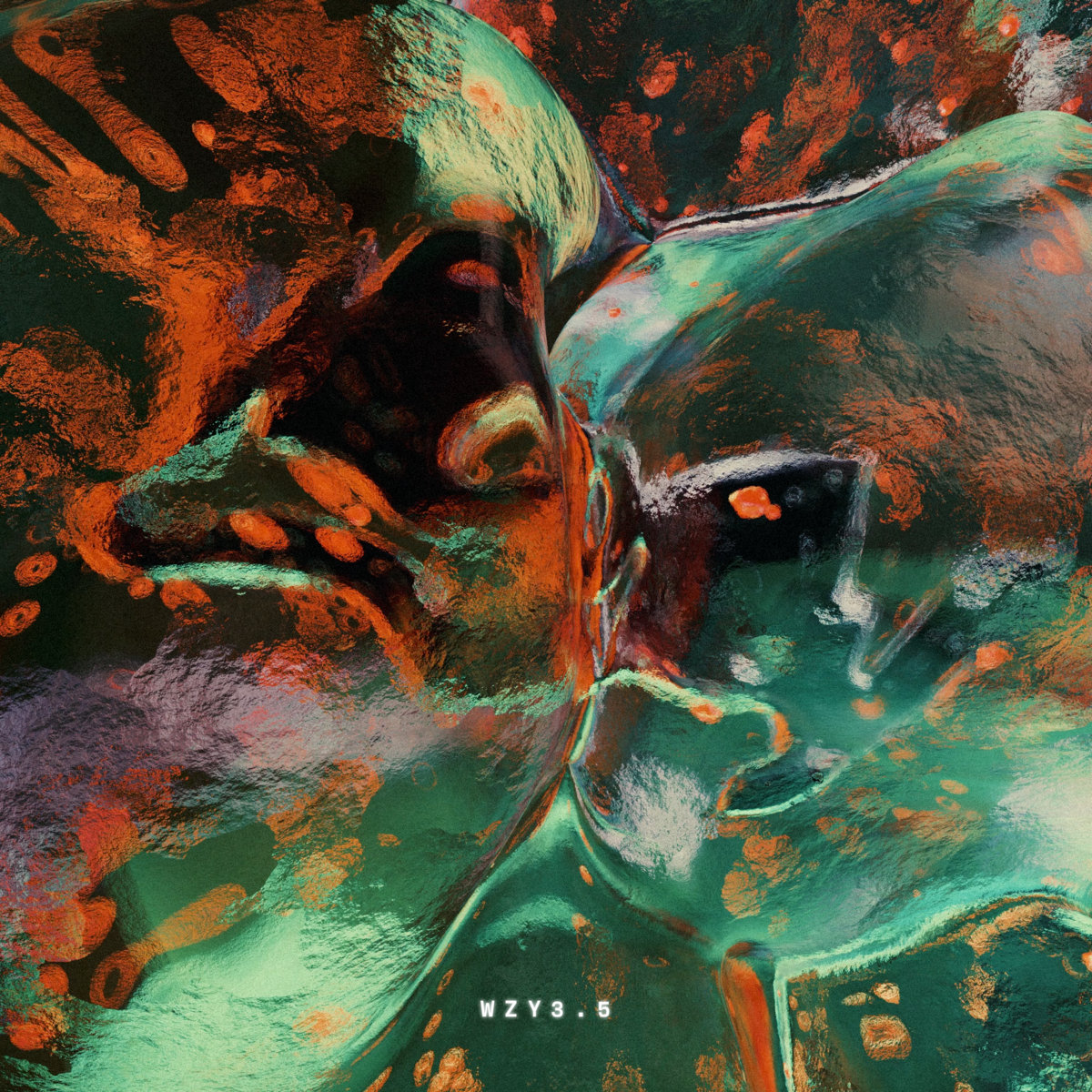 WZY3.5 cover