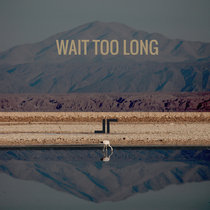 Wait Too Long EP cover art