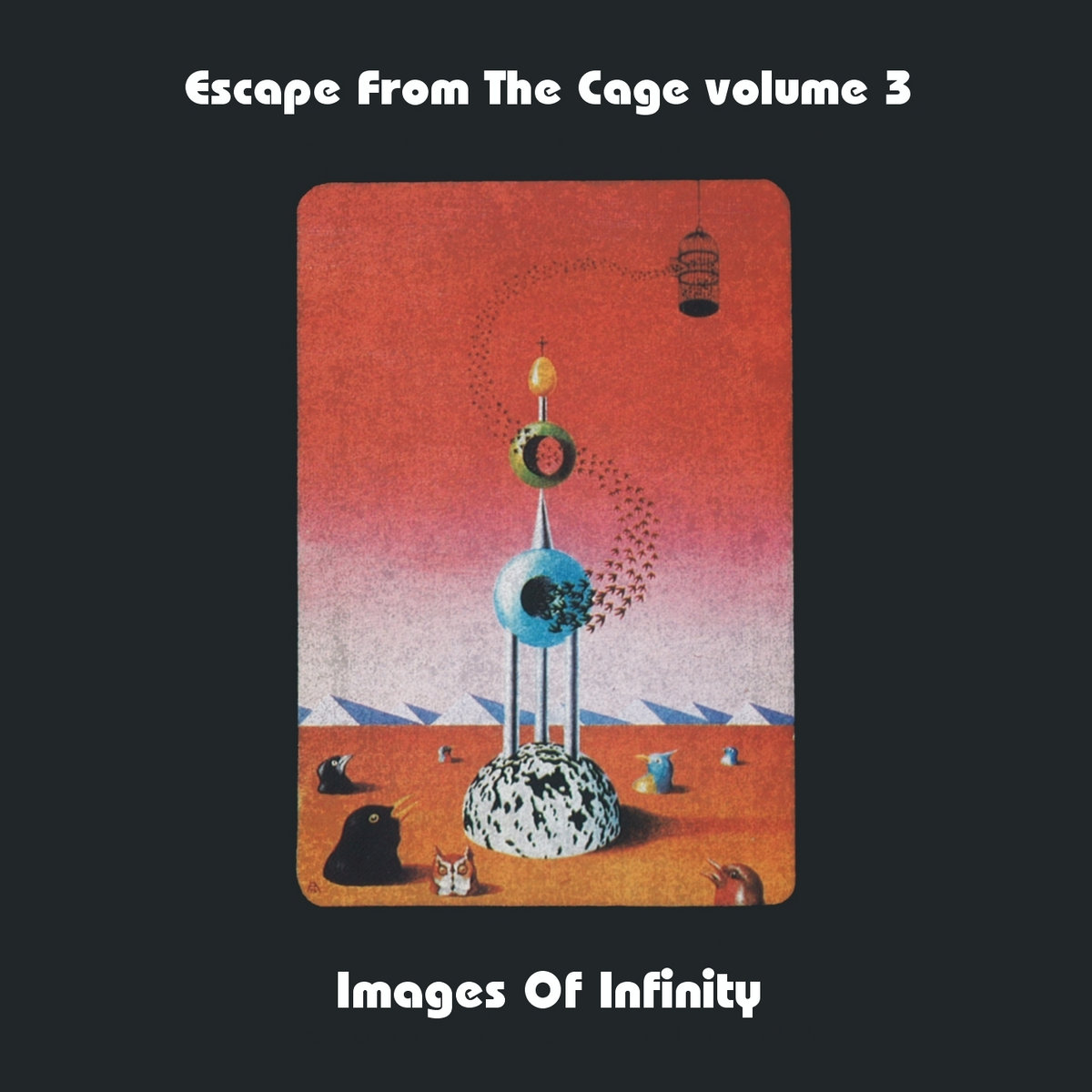 the infinity cage the infinity cage