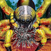 Spider Killed Bananaman (Self Titled)