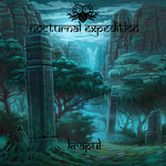 Nocturnal expedition