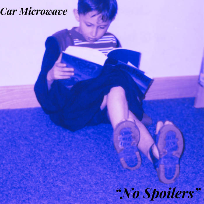 Music  Car Microwave