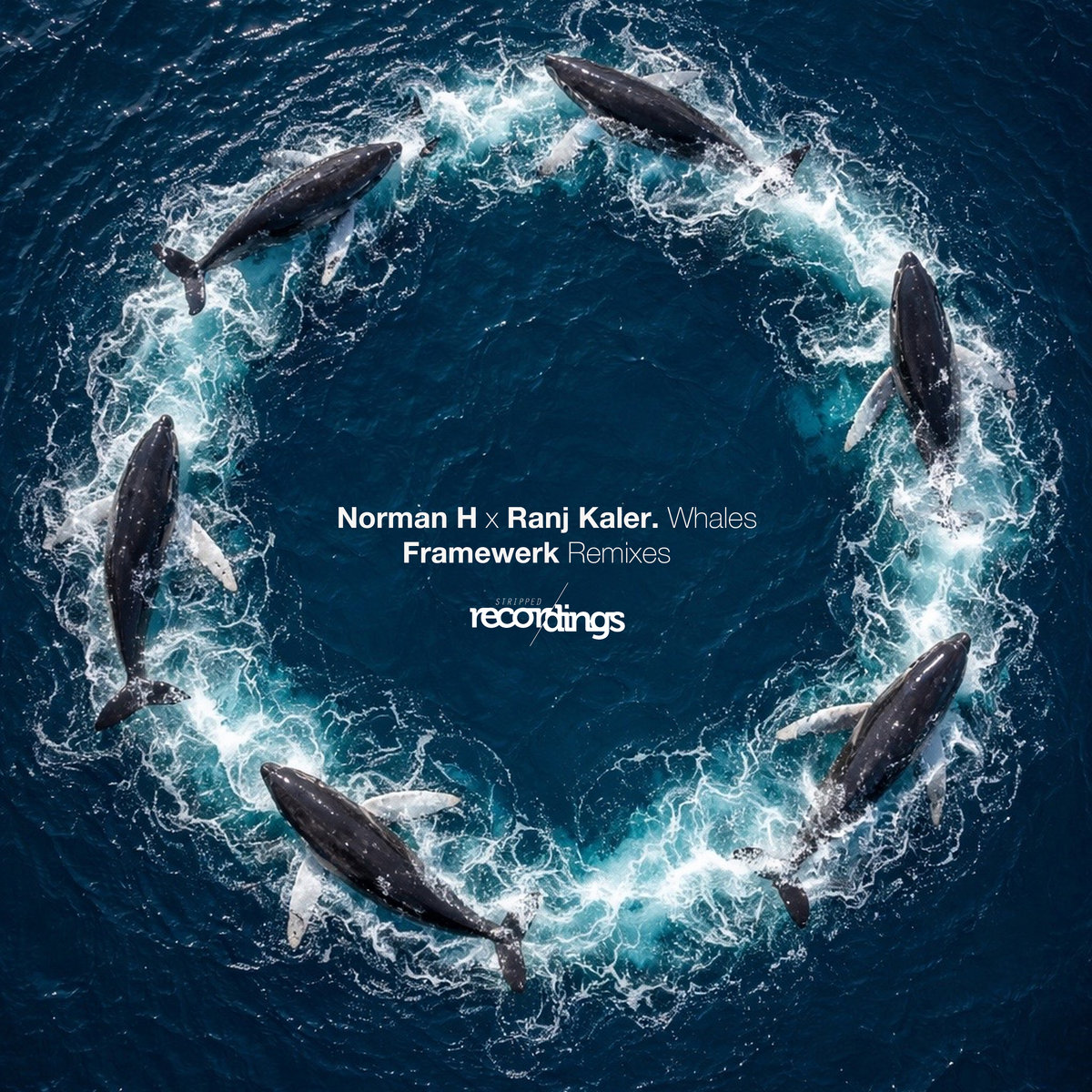 Whales (Framewerk Remix) | Norman H x Ranj Kaler | Stripped Recordings