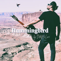 Hummingbird cover art
