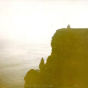 Orca Orca / QUALMS - Split 7" cover