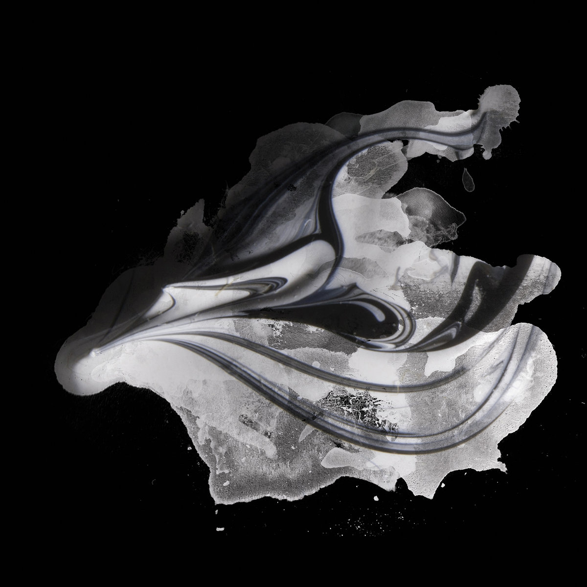 Auguries Of Innocence Laura Perrudin Auguries Of Innocence Laura Perrudin