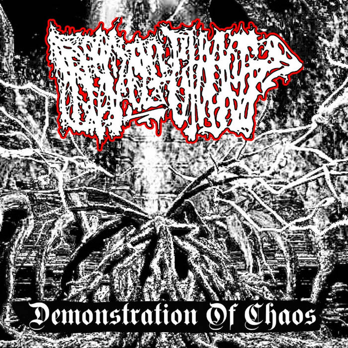 Demonstration of Chaos | Bed Of Chaos