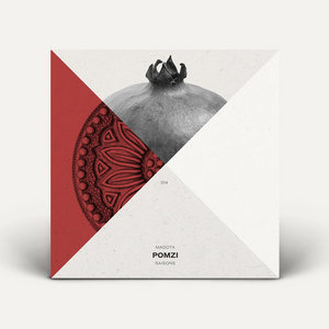 Pomzi cover