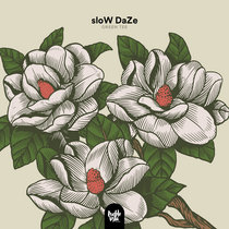 sloW DaZe cover art