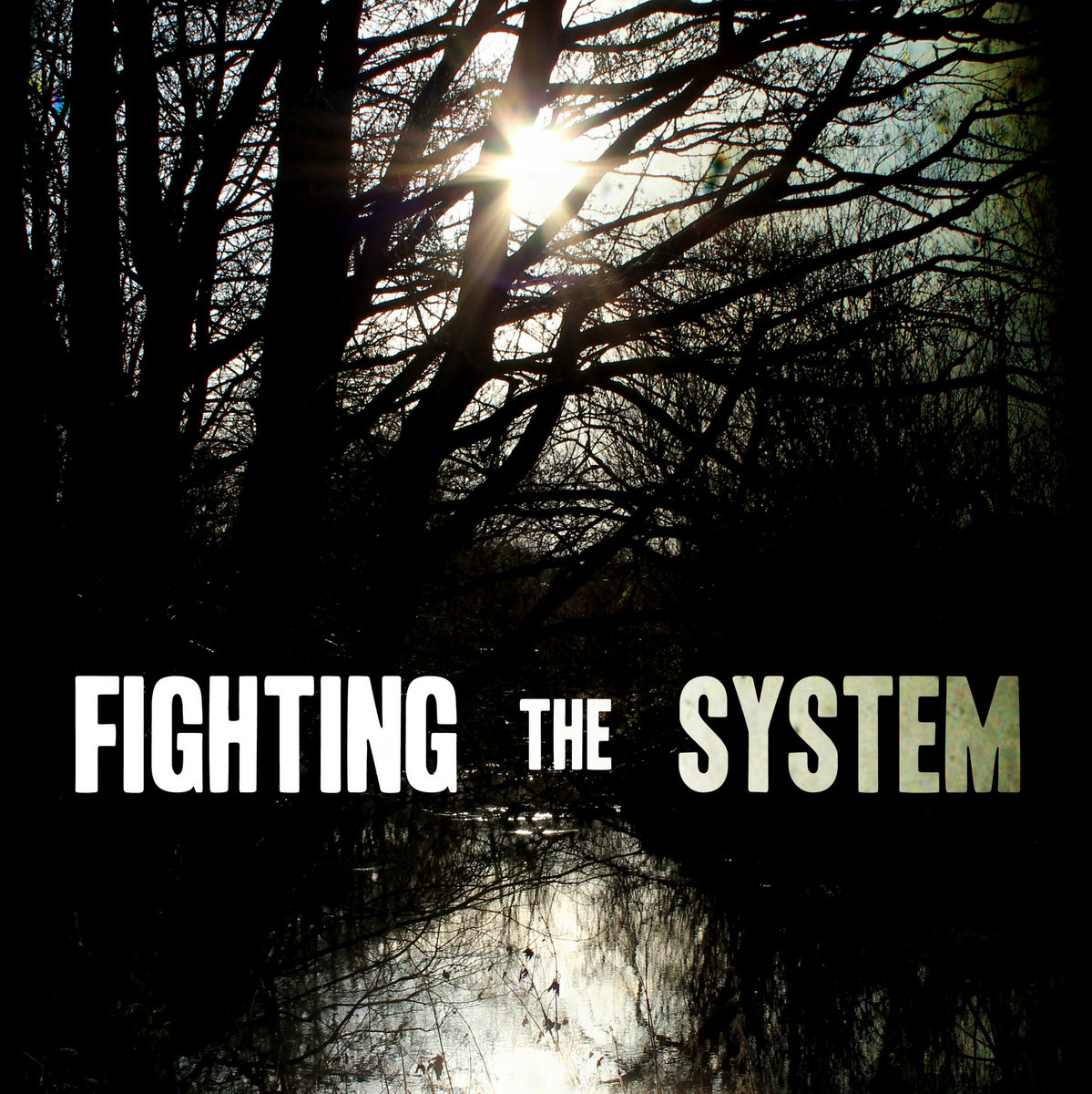 Take Advantage Of Me (DEMO) Fighting The System