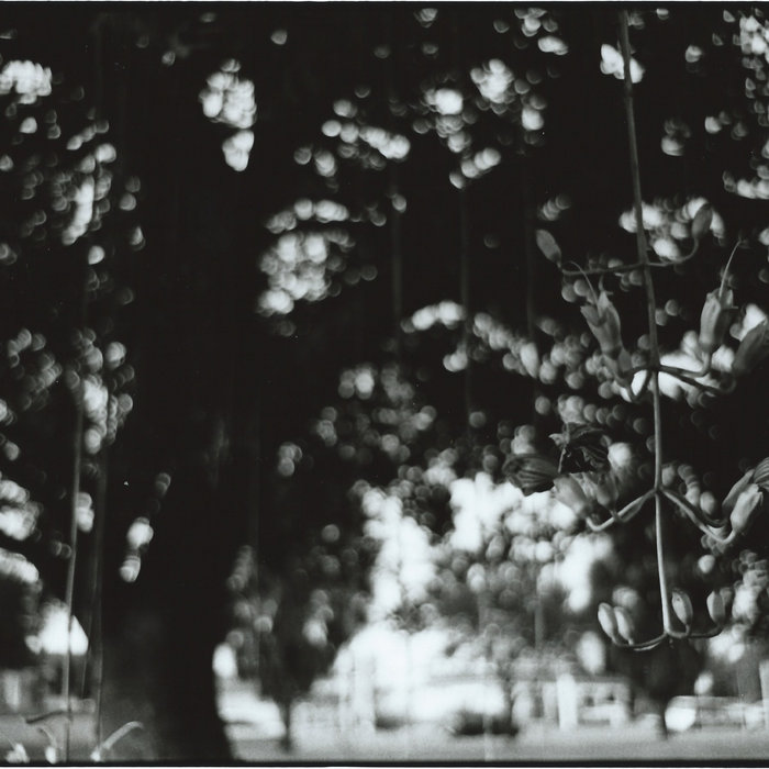 Wrap around my head Damian Juarez