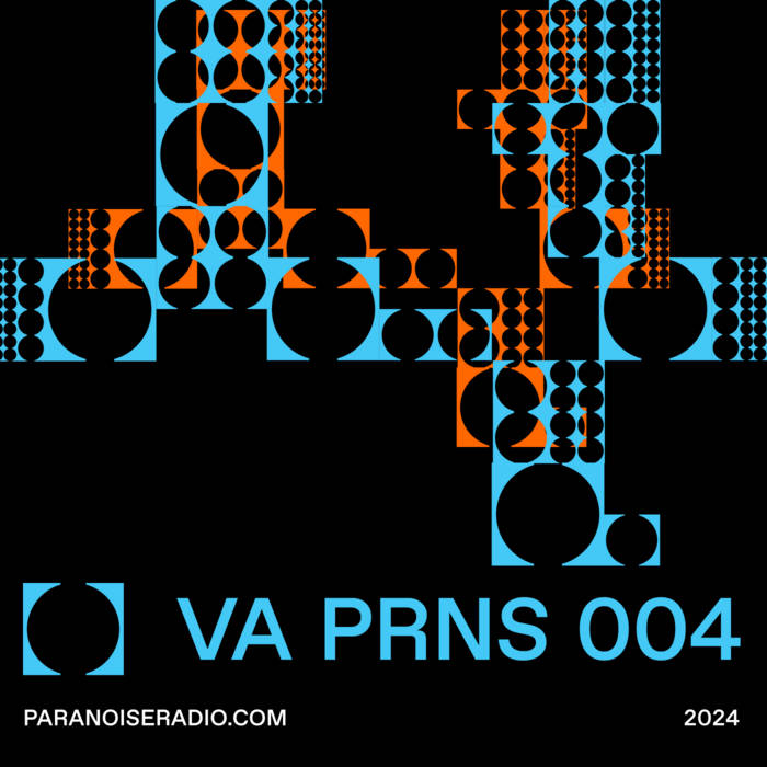 paranoise logo