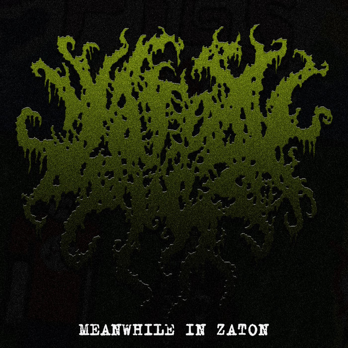 Meanwhille in Zaton | Zaton Pigs | Fishtown Records
