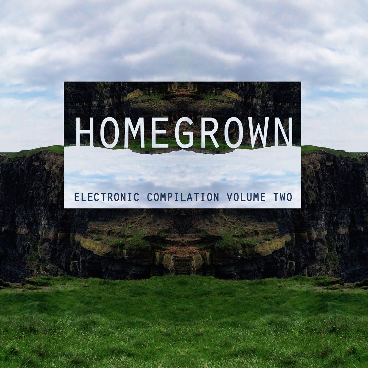 HomeGrown Electronic Volume 2 cover