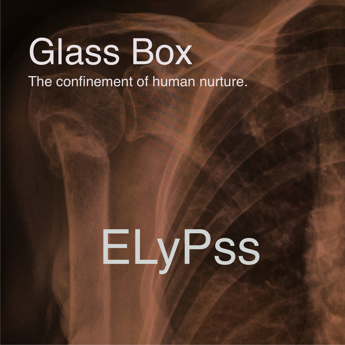 Glass Box cover