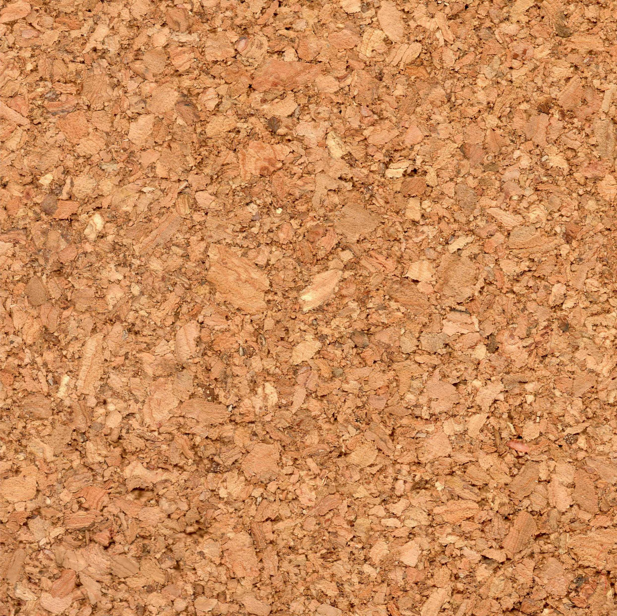 High School Era Christopher Adams