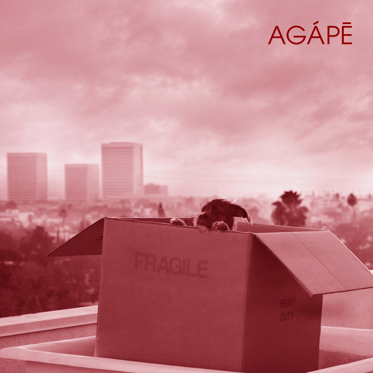 洋書 Eros e Agape 洋書 Eros e Agape 洋書 Eros e Agape Agape and Eros (Part I