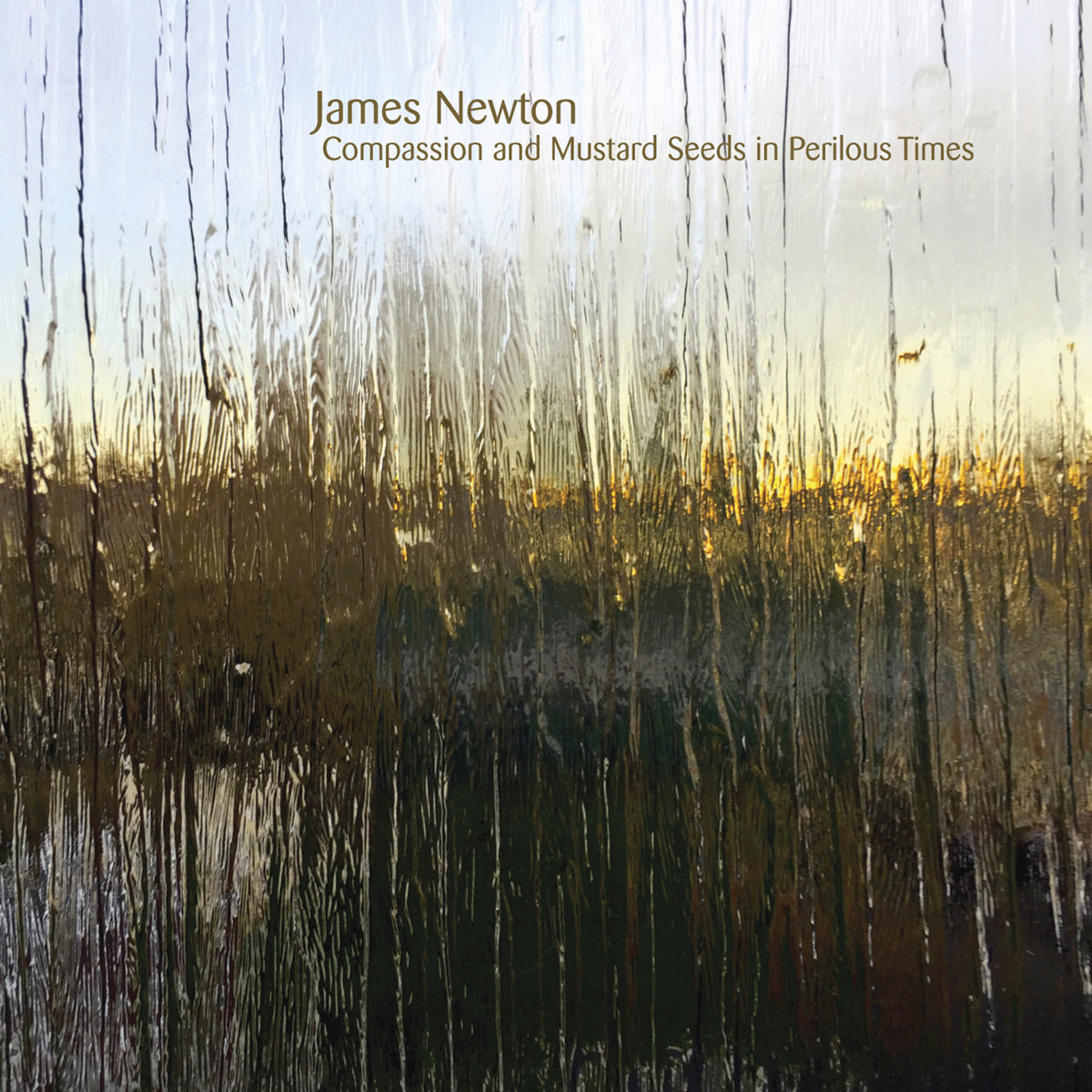 James Newton: Compassion and Mustard Seeds in Perilous Times | James  Newton, The Lyris Quartet | New World Records, image size:1200x1200