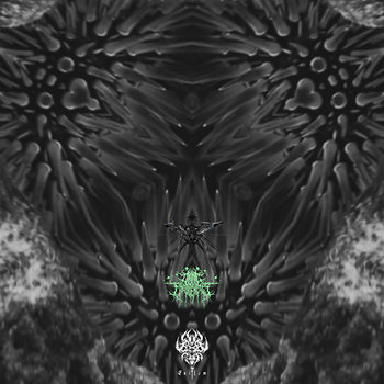 Music | Cosmic Frequencies