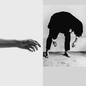 Limbs + Debris album bundle cover