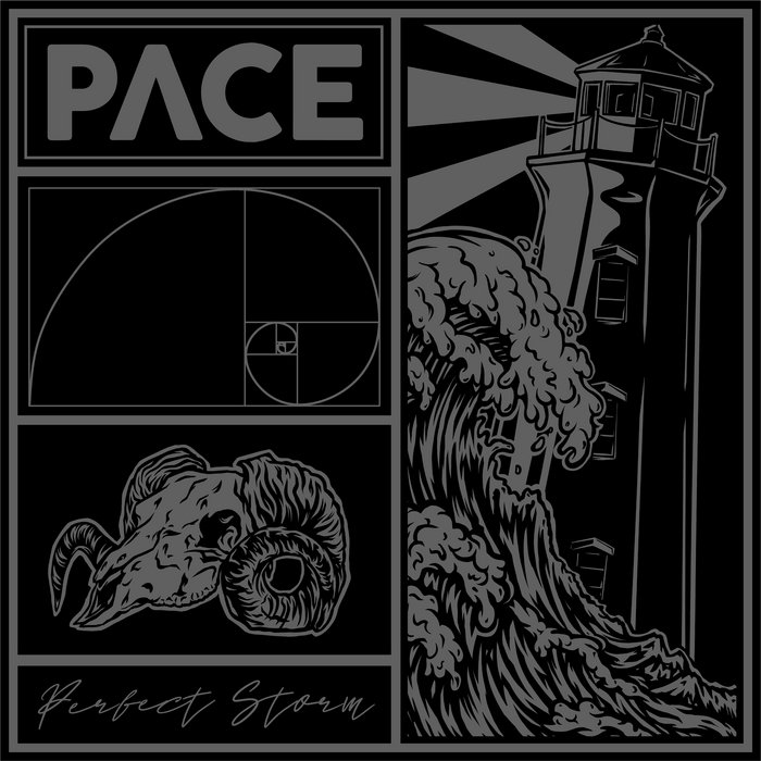 Perfect Storm | PACE