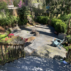 My Backyard cover