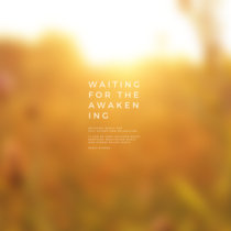 Waiting for the awakening cover art