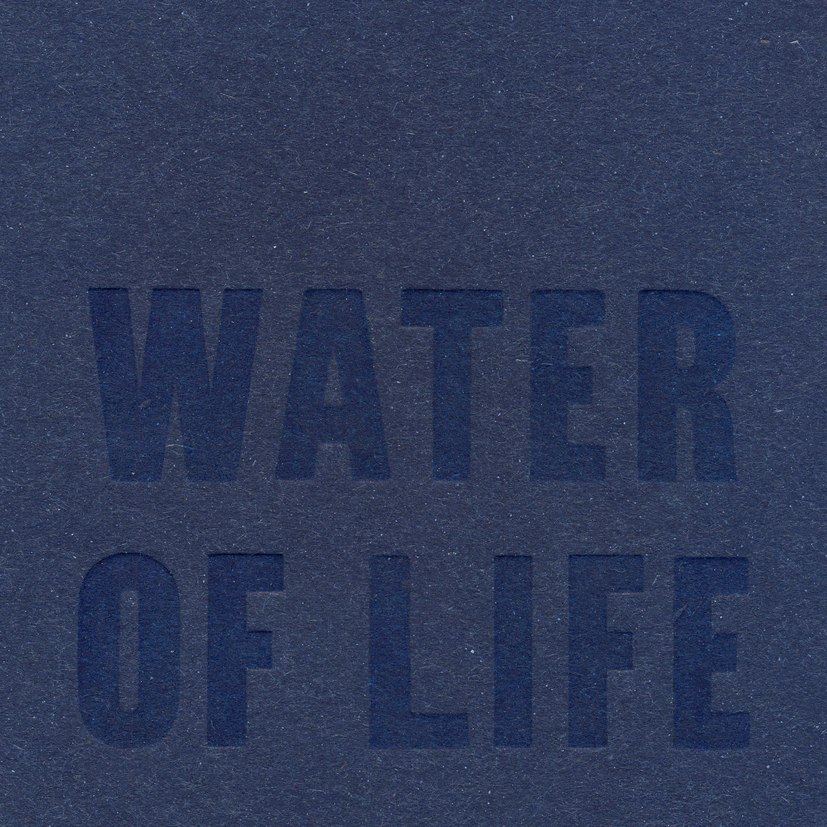 Water in life essay