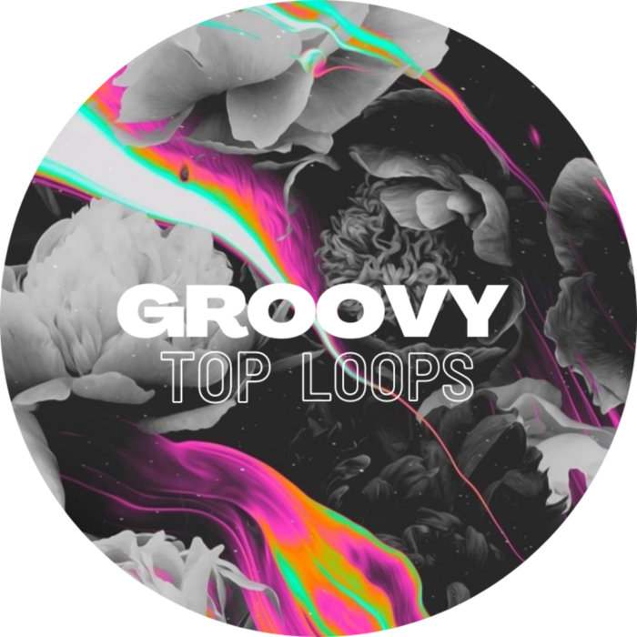 Groovy Top Loops Vol.1 Diego Bustamante