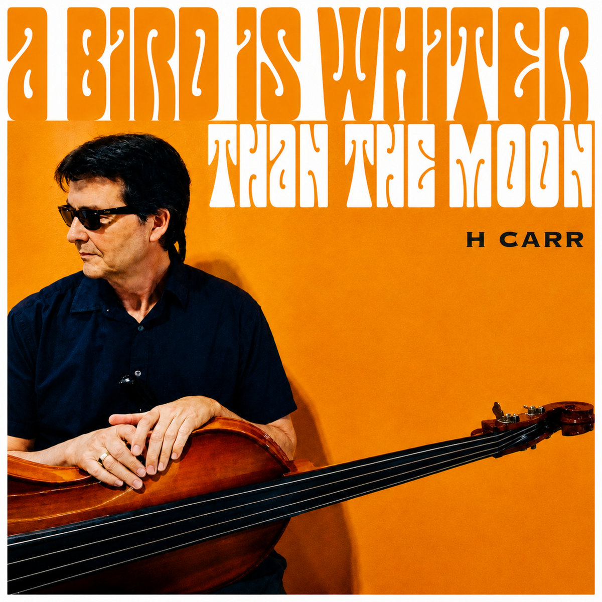 A Bird is Whiter than The Moon