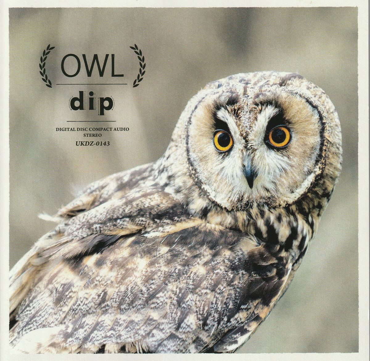 OWL | dip | KiliKiliVilla
